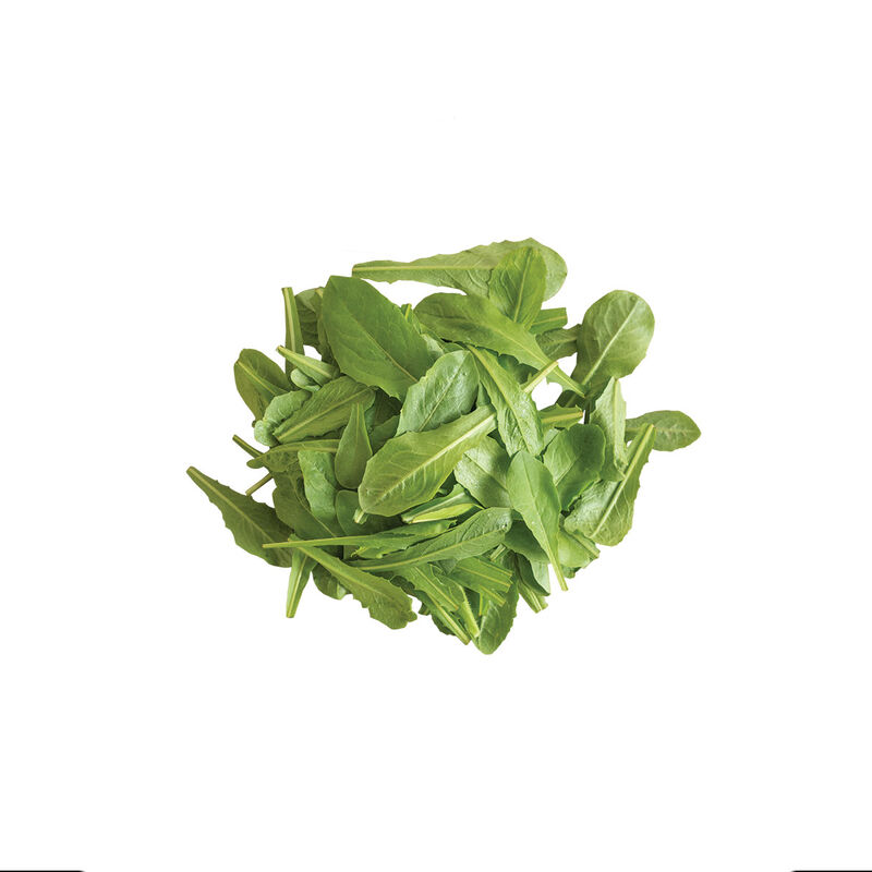 00375_04_catalognaspecial