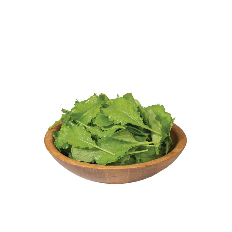 00377_02_greenwave