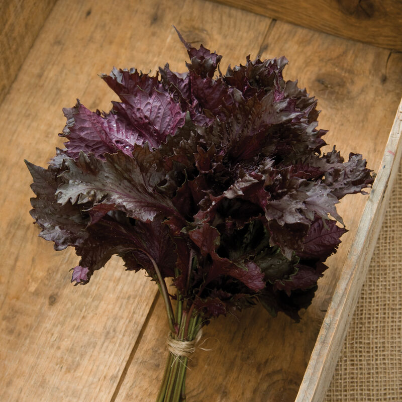 00937_01_redshiso