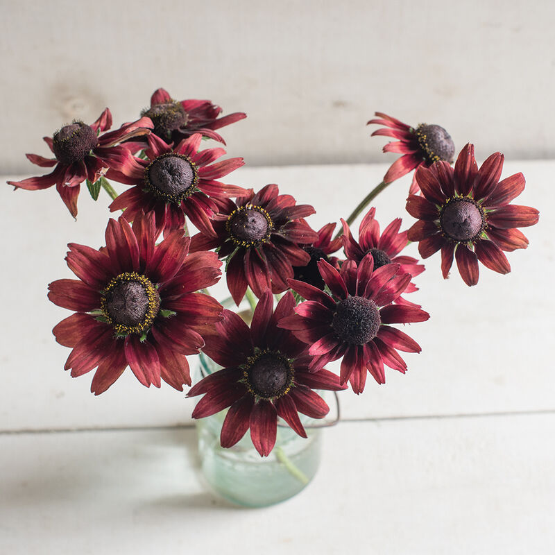 01865_02_cherrybrandy