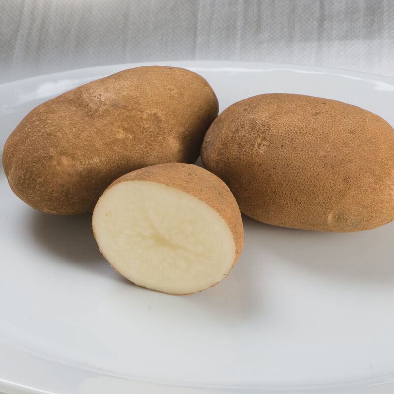 02219_01_gold_rush_potato