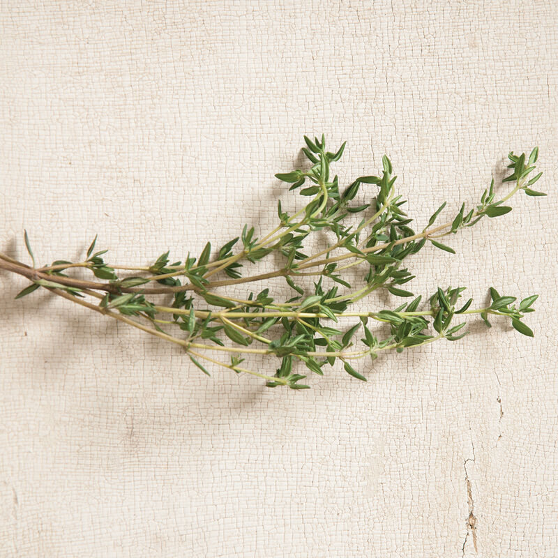 02250g_01_summerthyme