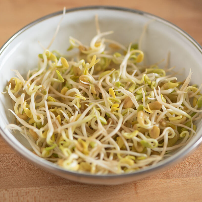 02870_01_fenugreeksprouts
