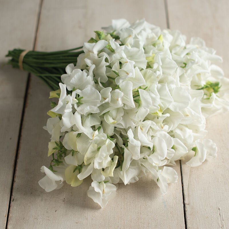 03426_01_royal_wedding