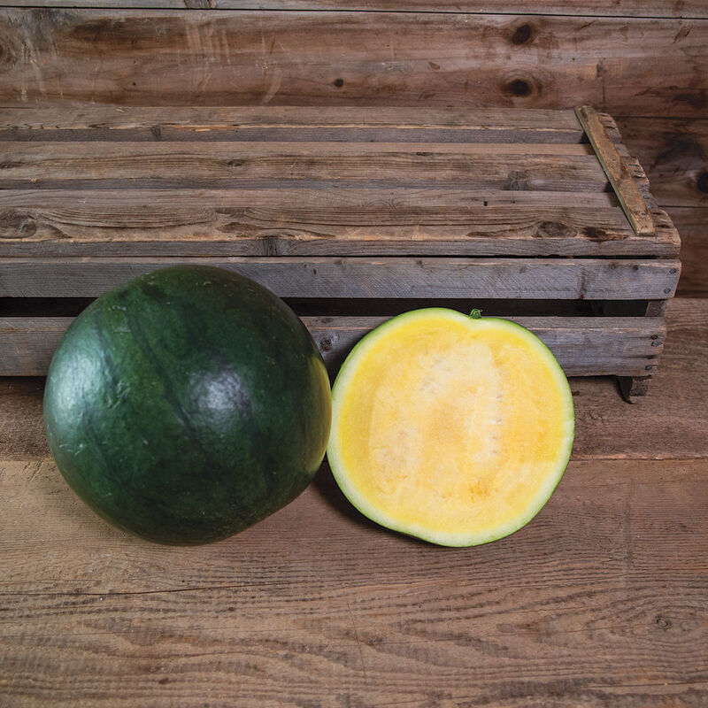 03617_01_tropicalsunshine