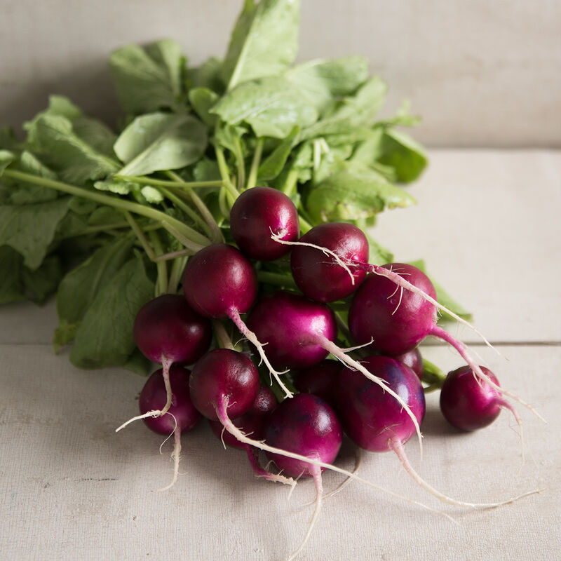 03675_01_bacchus