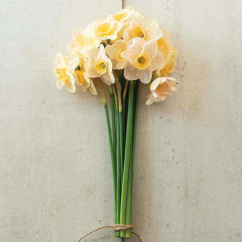 04232_01_prosecco