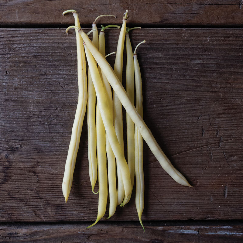 04356_01_bamako_bush_bean