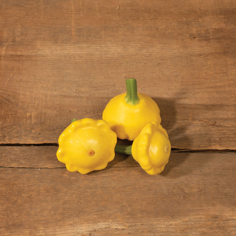 04412_01_lemonsun