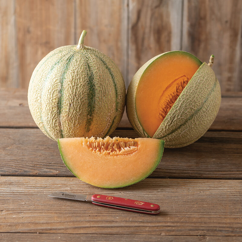 04473_01_melonade_melon