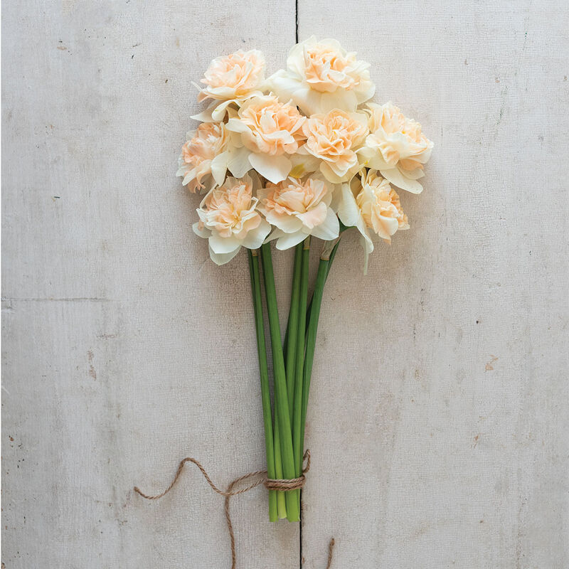 04560_01_flowersurprise