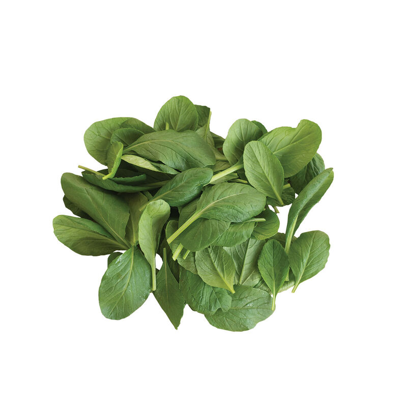 04570_01_greengiant