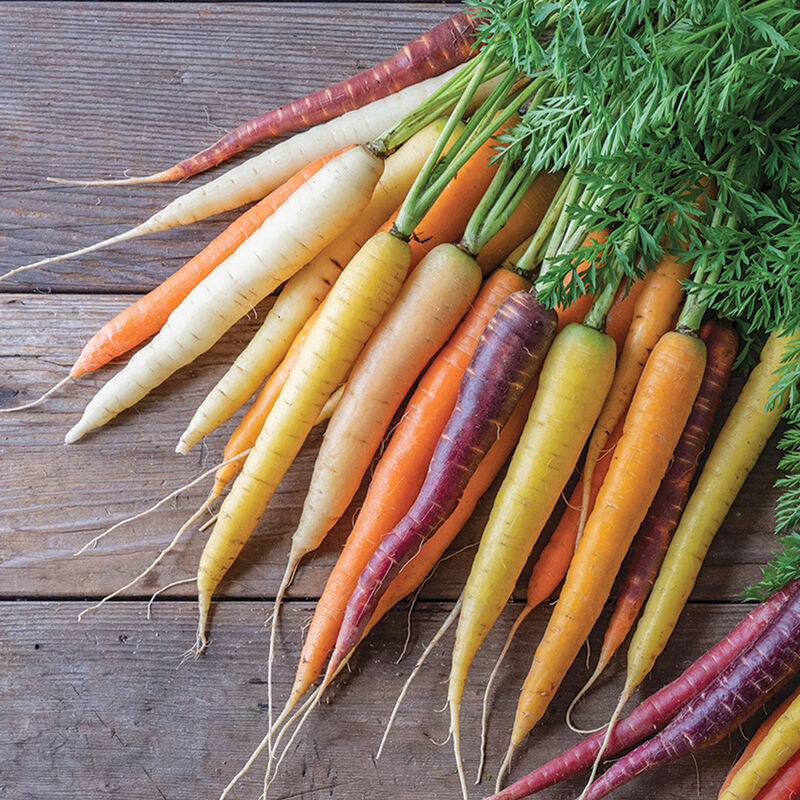 04767_01_glow_stix_sunrise_mix_carrot