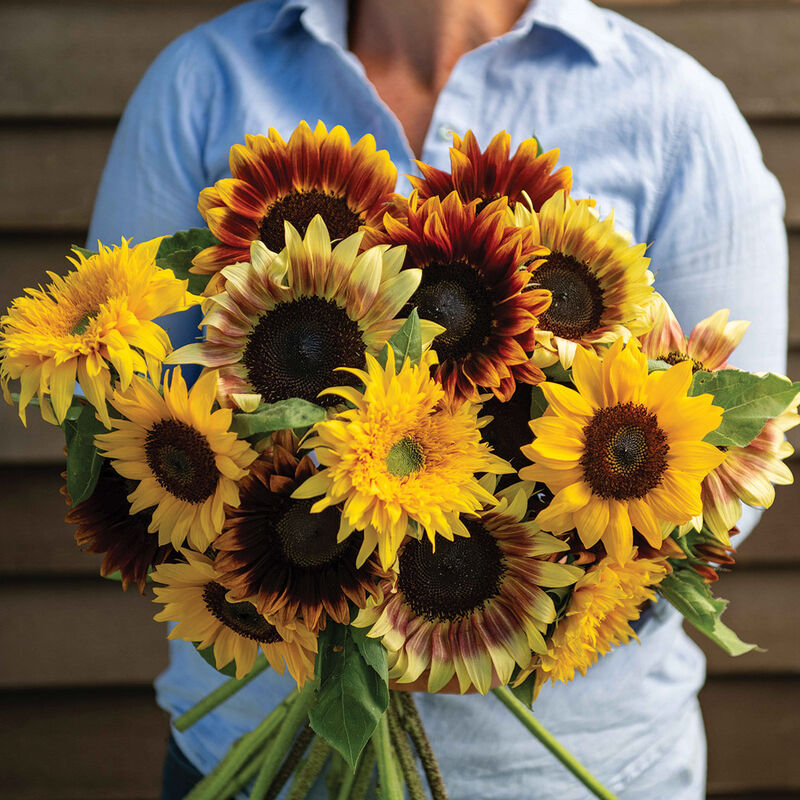 04782_01_summer_breeze_mix