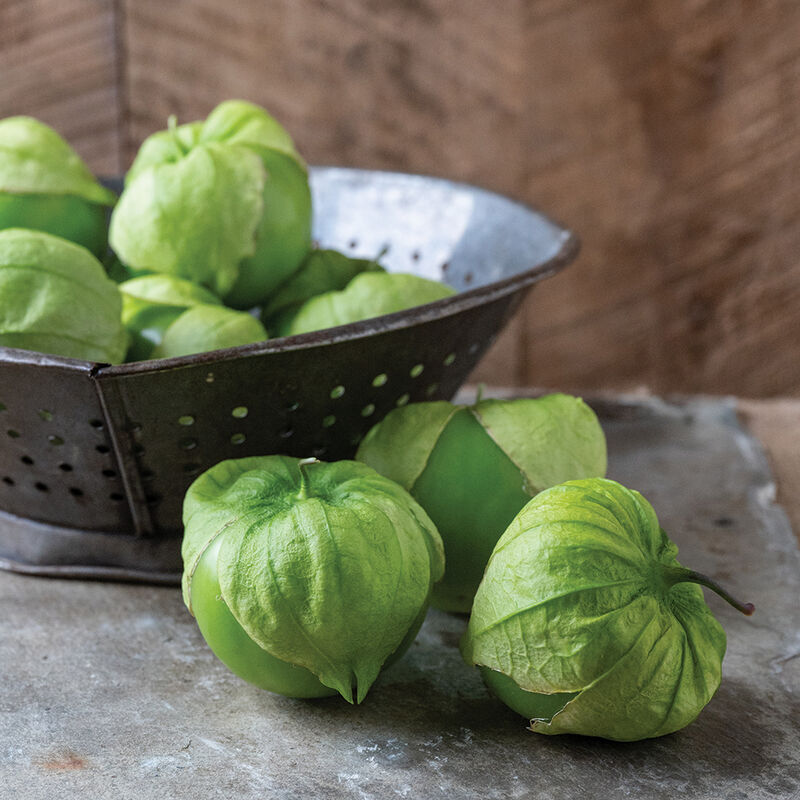 04808_01_pancho_tomatillo