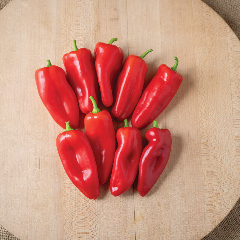 04896_01_svps0897_pepper