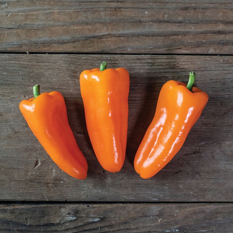 04897_01_svps0953_snack_pepper