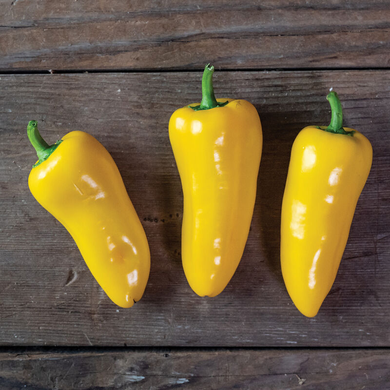 04898_01_svps1263_snack_pepper