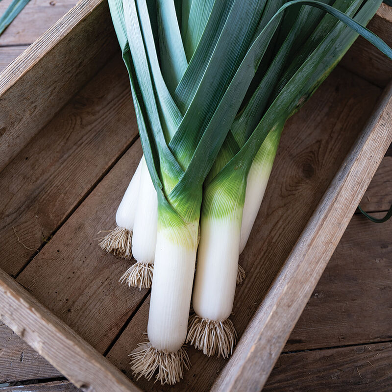 04918_01_biker_leek