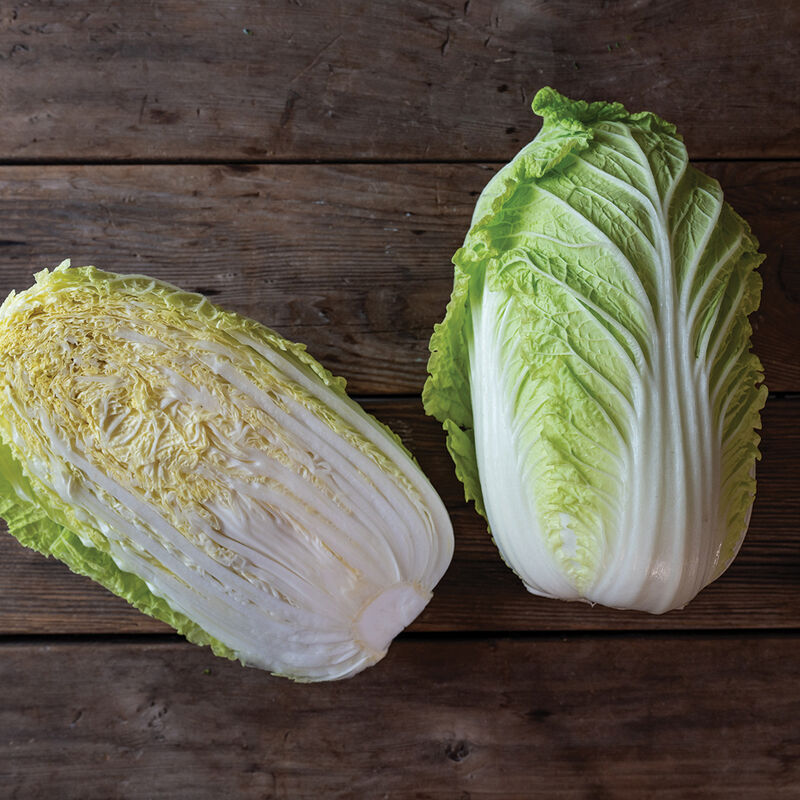 04920_01_haku_chinese_cabbage