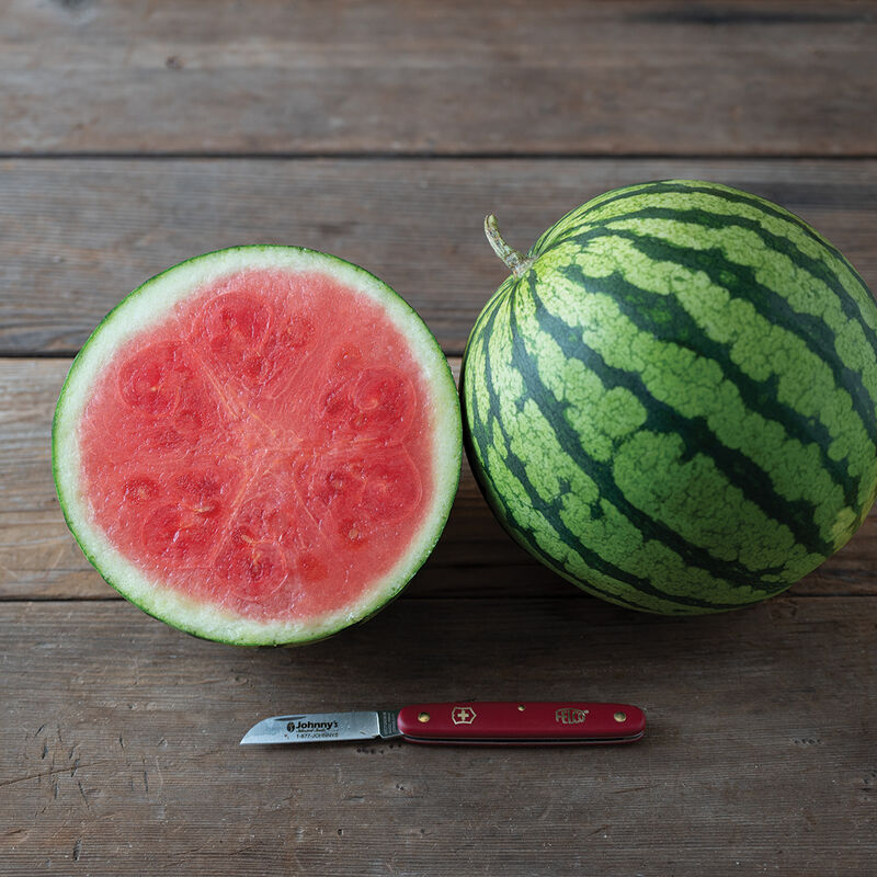 04955_01_onza_watermelon