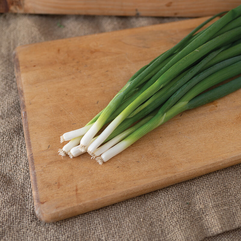 04969_01_yag_onion