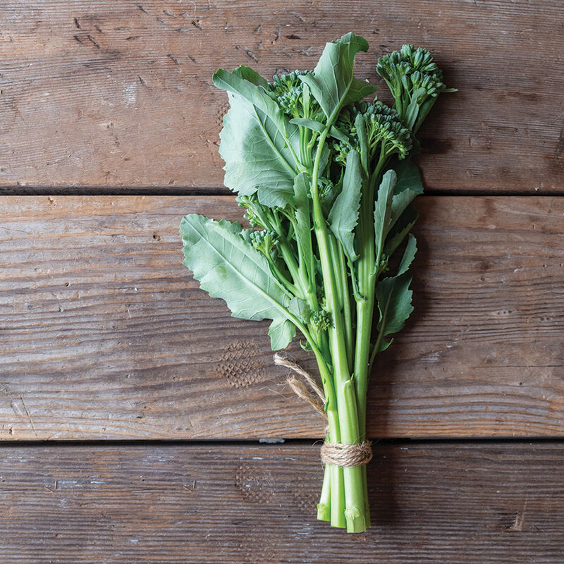 05018_01_bella_verde_sprouting_broccoli