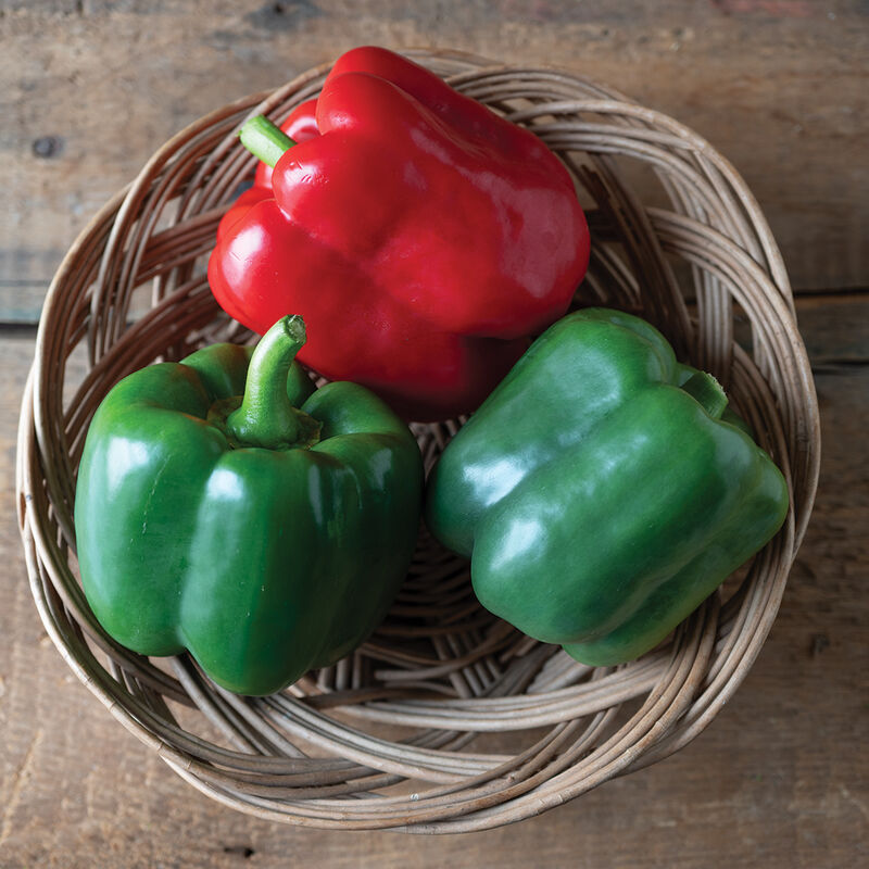 05025_02_autry_pepper