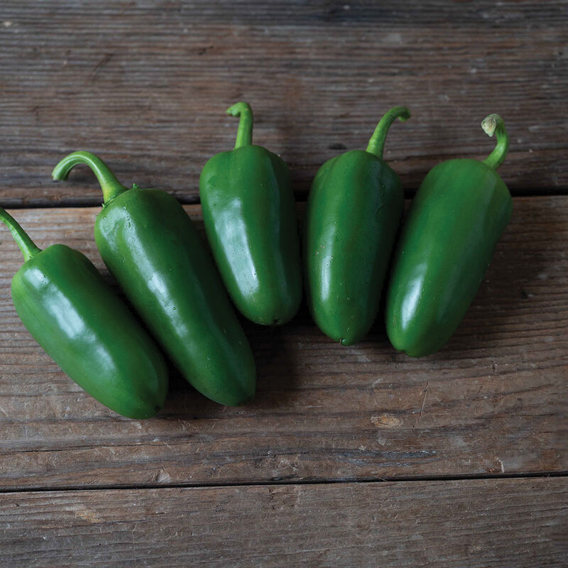 05029_01_svhj5816_jalapeno_pepper
