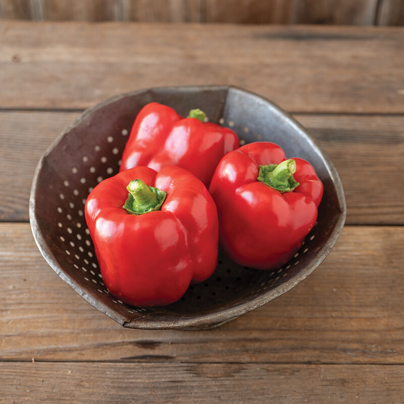 05030_01_sailfish_bell_pepper