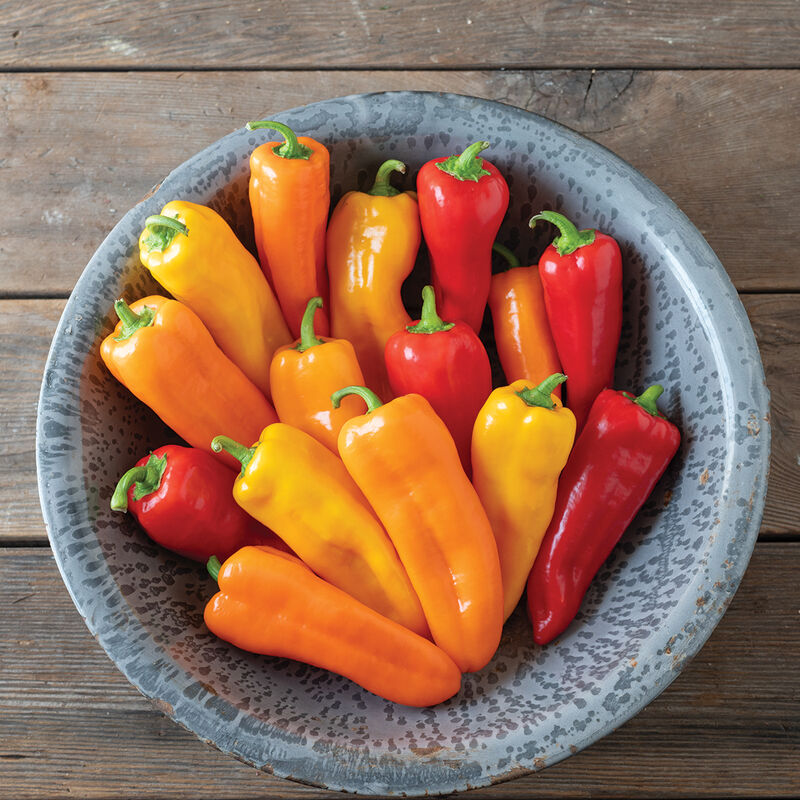05055g_01_corinto_mix_peppers