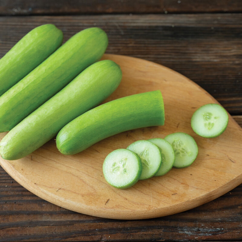 05135_01_mojito_cucumber