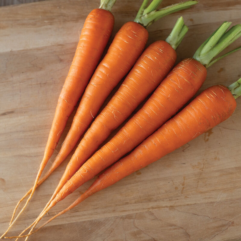 05165_01_candy_carrot