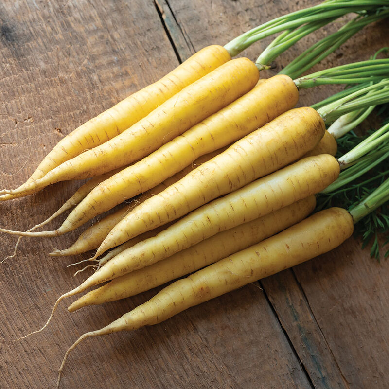 05182jp_01_amber_carrot