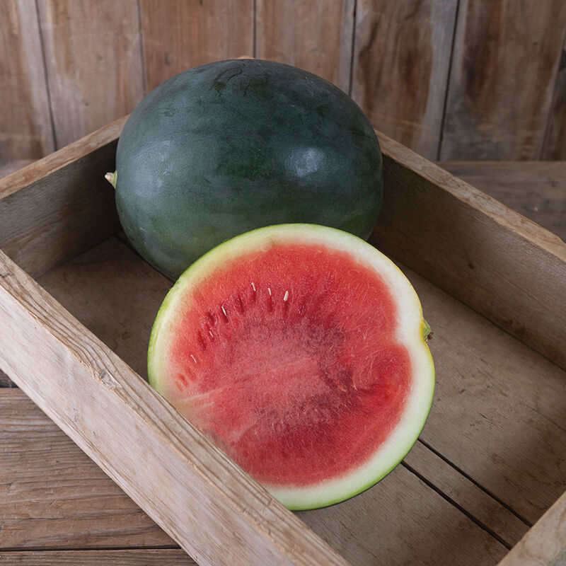 05206_01_saniara_watermelon