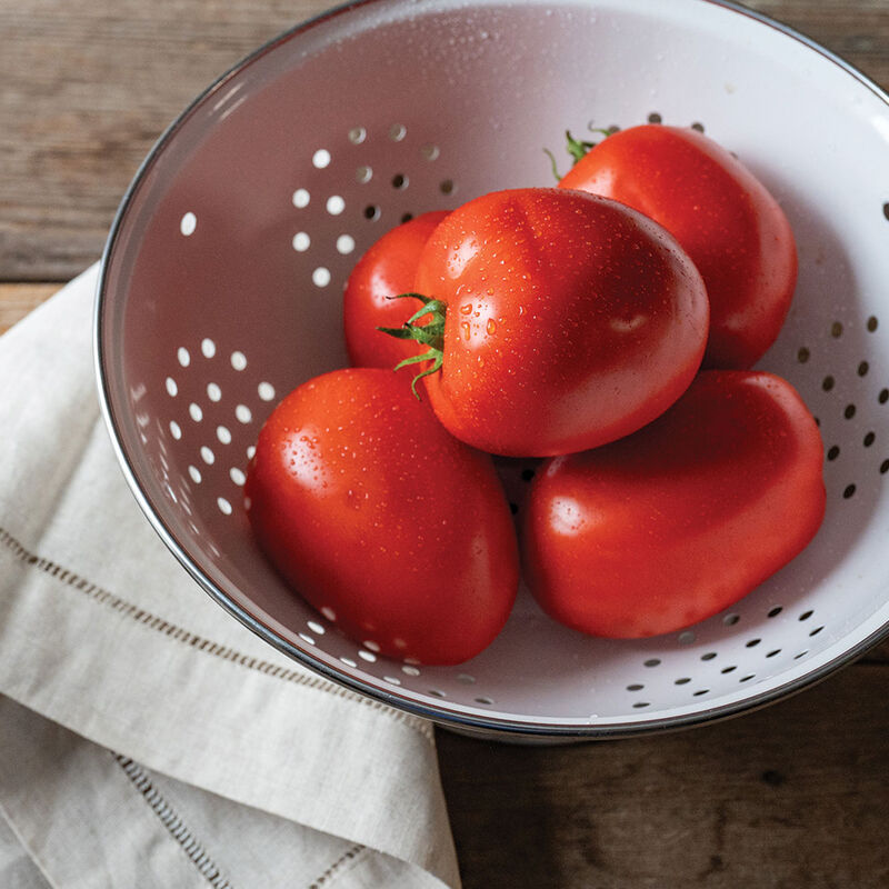 05224_01_kuzco_tomato