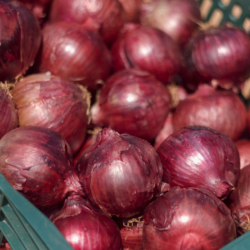 05231_01_red_sensation_vendor_onion