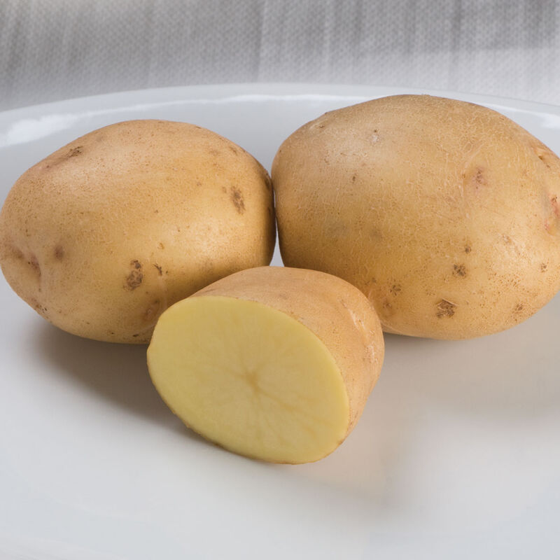 0532es_01_yukon_gold_potato