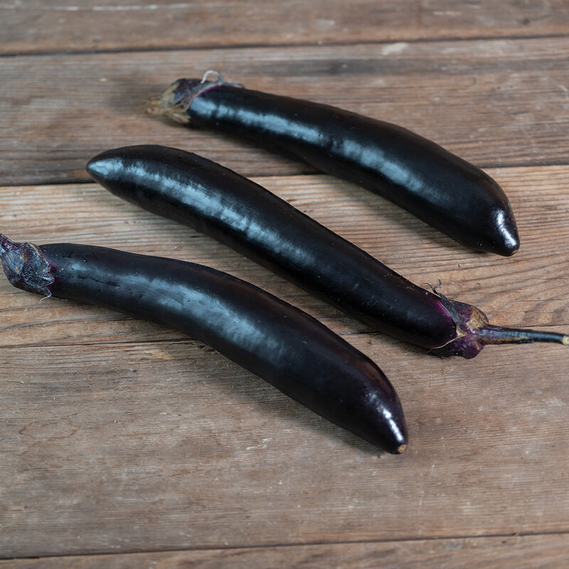 05561_01_shinkansen_eggplant
