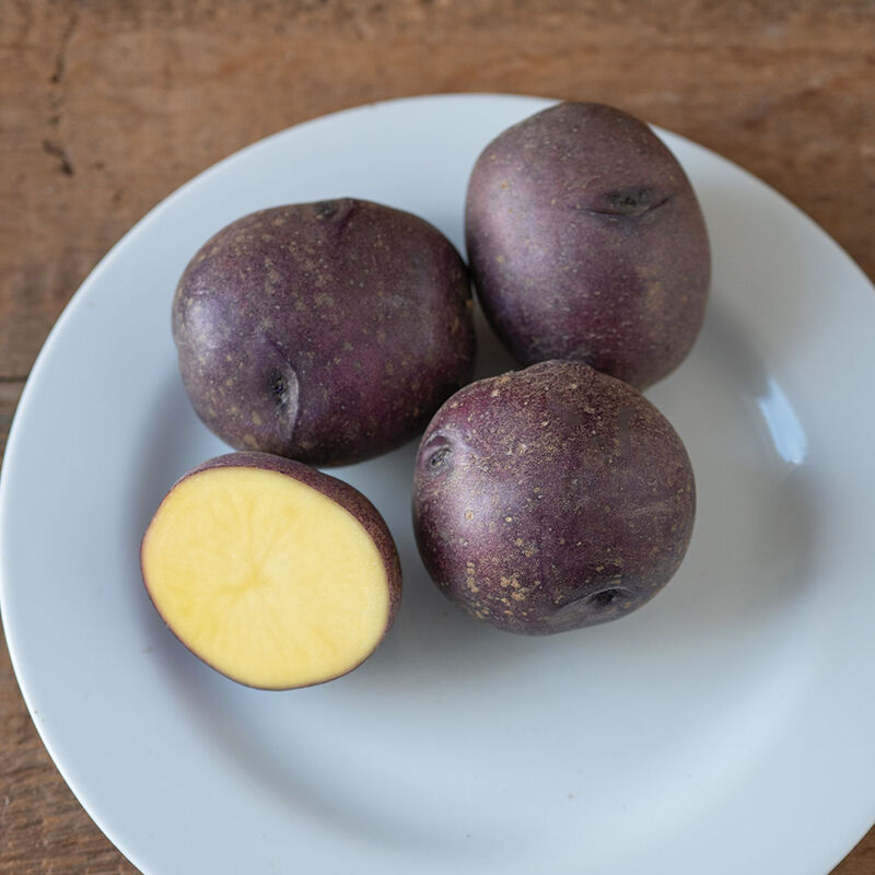 05662_01_huckleberrygold_potato