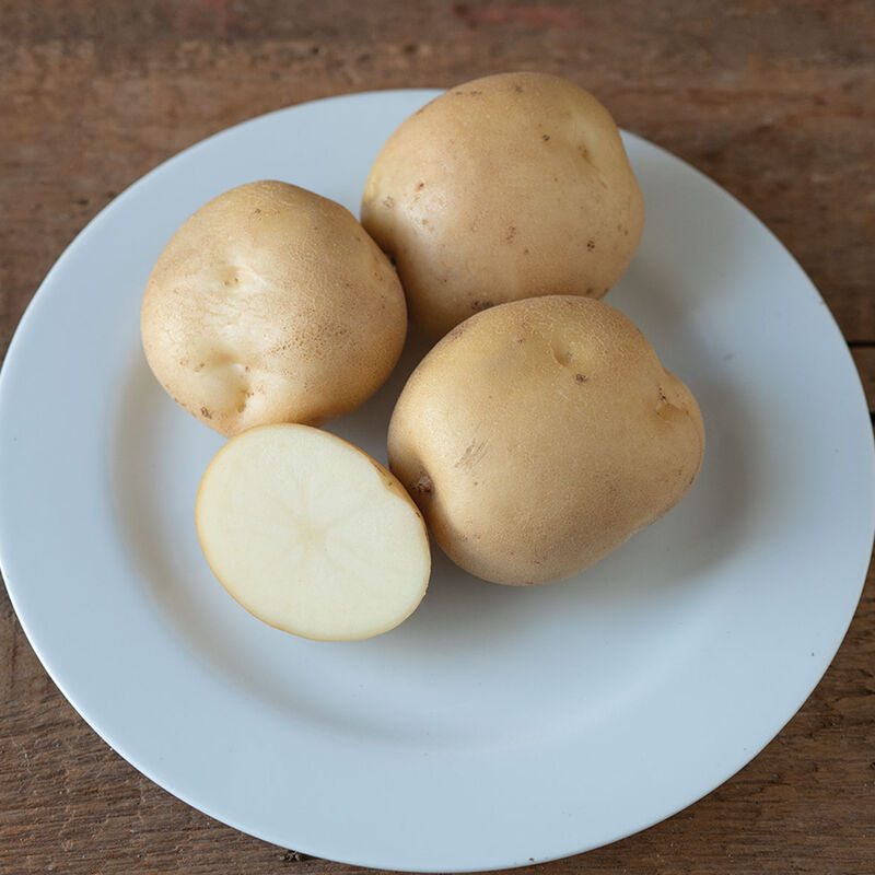05663_01_envol_potato
