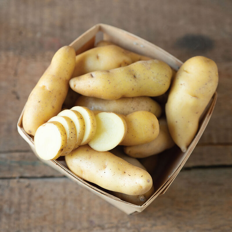 05664_01_austrian_crescent_potato