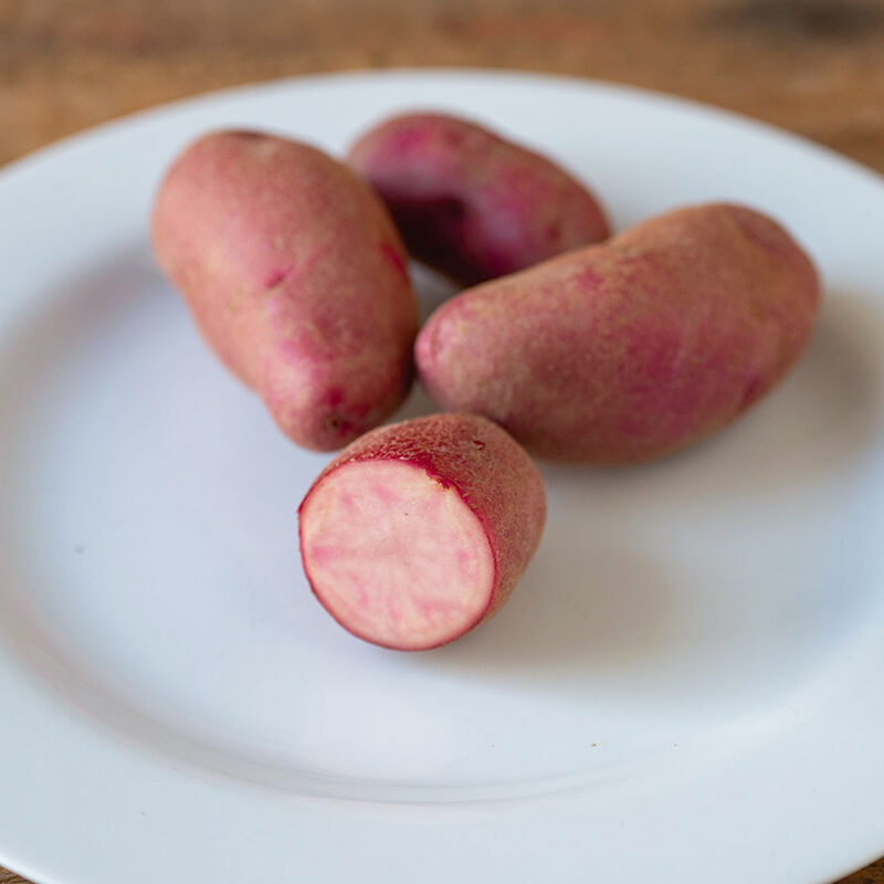 05667g_01_amarosa_potato