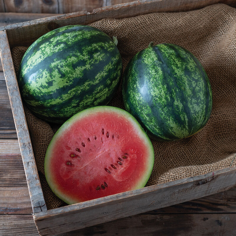 05721g_01_juice_box_watermelon