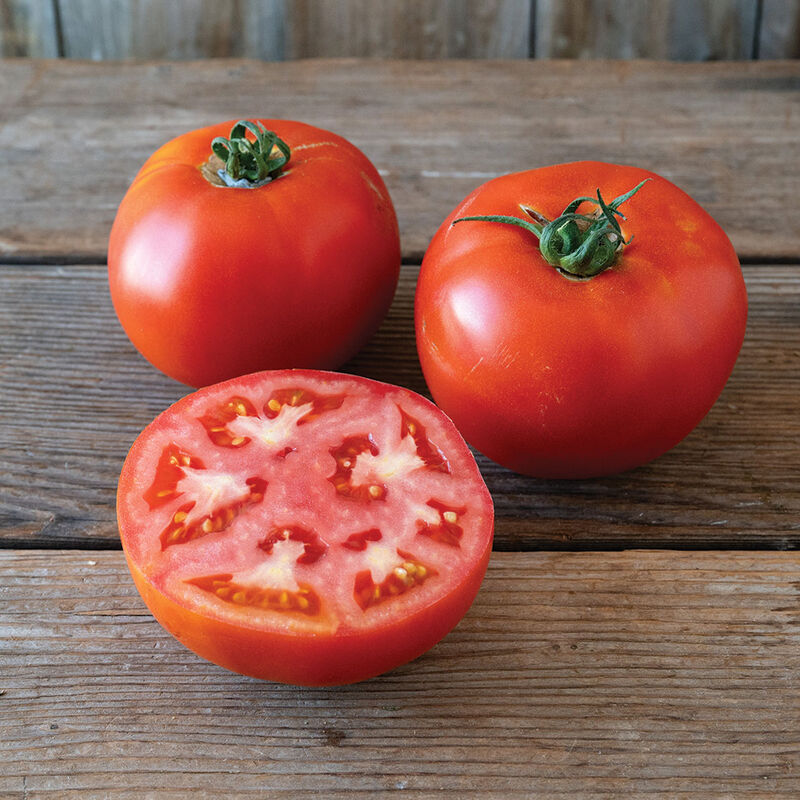 05905g_01_unity_tomato