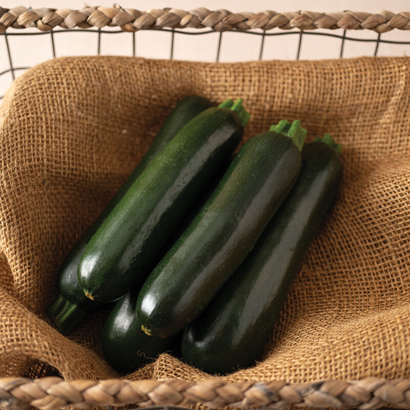 06060_01_maveric_squash