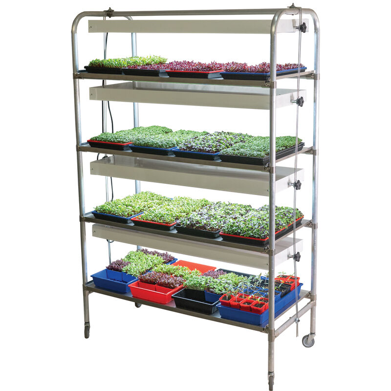 06221_01_commercial_light_cart