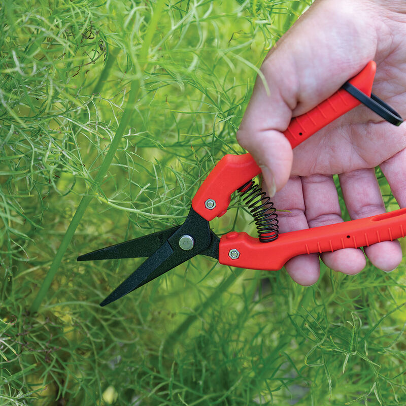 06253_02_jss_floral_shears
