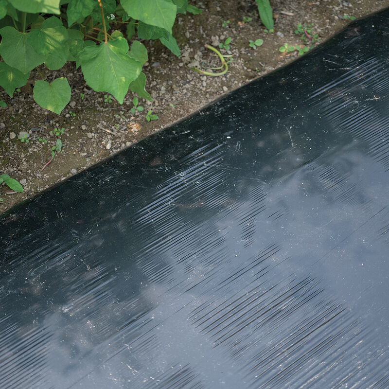 06385_01_solar_shrink_mulch