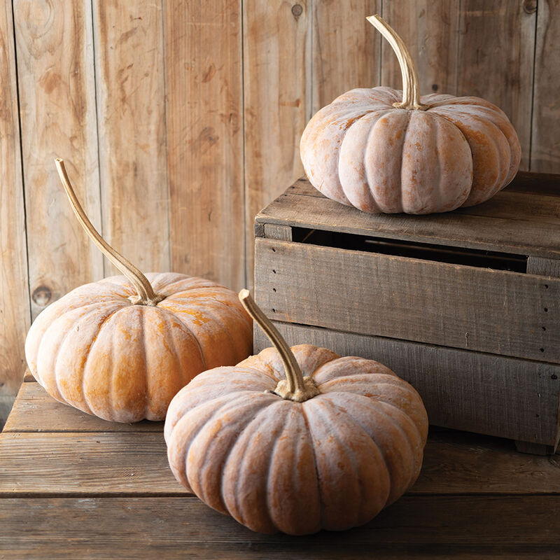 06557_01_wanfu_pumpkin